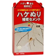 MHS-01 [ハケぬり補修セメント 300g 灰白]