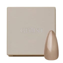 GELIST カラージェル 単色パレット 008-GR-02 Charcoal チャコール