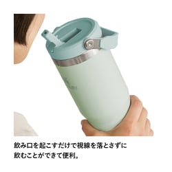 希少新品◇STANLEYスタンレーミスト フリップストロータンブラ0.59L 楽天市場】STANLEY スタンレー クエンチャープロツアーフリップ