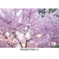 Kenko カメラ用フィルター PRO1D プロソフトン [A] (W) 82mm ソフト描写用 282885 Amazon | ケンコー(Kenko) レンズフィルター PRO1D プロソフトン