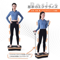 ヨドバシ.com - トカイズ TOKAIZ TVI-001s ブラック [振動マシン