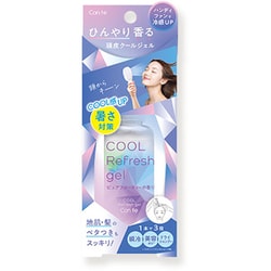 CRG1201 [STコンテ クール リフレッシュ頭皮ジェル 100ml 頭皮 ヘアケア 冷感 ドライシャンプー 地肌 暑さ対策]