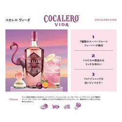 Cocalero Vida 3本セット 700ml 22% sakaz_s044784