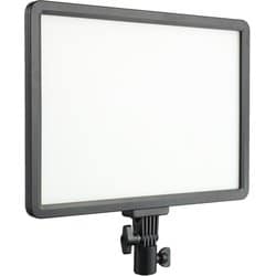 LEDライト P30BI J111