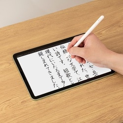 ヨドバシ.com - ナカバヤシ デジオ Digio Apple Pencil 交換用