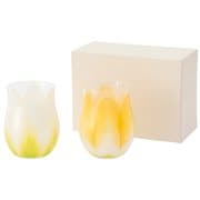 FL11-00815 [Tulip Glass 2pcs WH×YE]