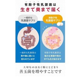 ヨドバシ.com - 明治薬品 ラクトロン 60錠 [指定医薬部外品] 通販【全品無料配達】