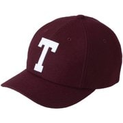 TNFロゴフランネルキャップ TNFロゴフランネルキャップ NN42338 アルパインプラム AP [キャップ]