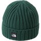 カプッチョリッド ベビー 帽子 TNFグリーン（TG） BFサイズ NNB42401