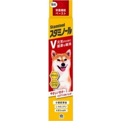 スタミノールV 100g