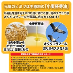 ヨドバシ.com - アース・ペット 75477 [猫スタミノール 食欲 50g