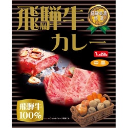飛騨牛カレー1人前 250g