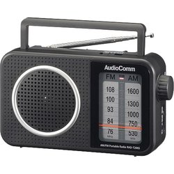 AudioComm AM/FMポータブルラジオ 大文字表示 RAD-T206S