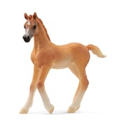 13984 [HORSE CLUB アラビア（仔）]