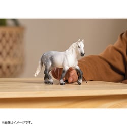 Schleich シュライヒ　フィギュア　 ペルシュロン種　馬　HORSE Schleich シュライヒ フィギュア ペルシュロン種 馬 HORSE その他