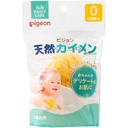 天然カイメン