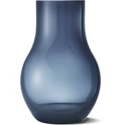 3586354 [ 【国内正規品】 カフ（CAFU） ヴェース （M） ガラス]