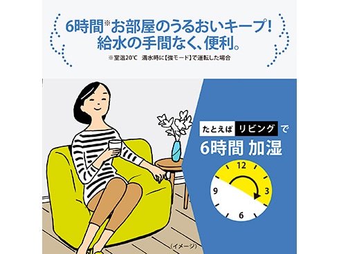 象印 スチーム加湿器 木造6畳 洋室10畳 蒸気式 清潔 EE-RT35-WA