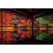 300-104 日本風景 秋深まる瑠璃光院 （京都） [ジグソーパズル 300ピース]