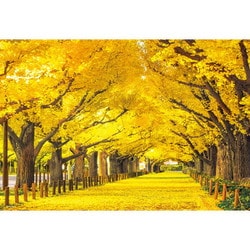 300-105 日本風景 神宮外苑の銀杏並木 （東京） [ジグソーパズル 300ピース]