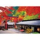 300-108 日本風景 秋に染まる京茶屋 （京都） [ジグソーパズル 300ピース]