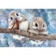 300-102 Animal/どうぶつ もぐもぐエゾモモンガ [ジグソーパズル 300ピース]