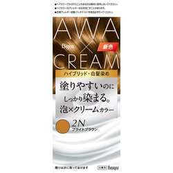 ビゲン 泡クリームカラー 2N ブライトブラウン