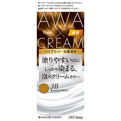 ビゲン 泡クリームカラー 3B キャメルブラウン