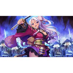 戦国恋姫EX COLLECTION 完全生産限定版 戦国†恋姫EX～COLLECTION～ 完全生産限定版｜の通販は