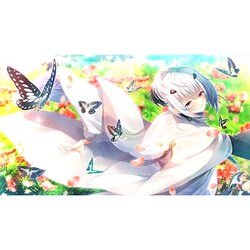 ヨドバシ.com - エンターグラム 戦国†恋姫EX～COLLECTION～ 通常