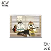 RAW-036 世にも不思議な猫世界 L判絹目生写真 路上ライブ