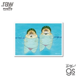 RAW-037 世にも不思議な猫世界 L判絹目生写真 シンクロニャイズドスイミング