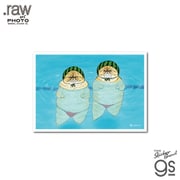 RAW-037 世にも不思議な猫世界 L判絹目生写真 シンクロニャイズドスイミング
