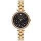 HOLLAND 34mm 並行輸入品 KSW1814