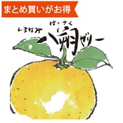 BEMAC 八朔ゼリー 150g [期限切迫商品（賞味期限：2025年12月9日）]