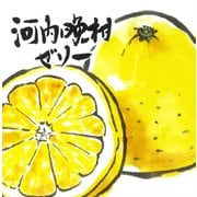 BEMAC 河内晩柑ゼリー 150g