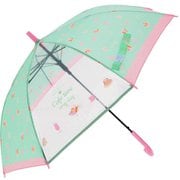 2mytaifujun55 [24630 ジュニア耐風傘 透明窓付き 55cm 長傘 カフェタイムMINT]