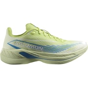 スペクター 2 メンズ ランニングシューズ SHARP GREEN/DIVA BLUE/LIME CREAM 28cm L47566900