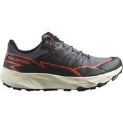 THUNDERCROSS GORE-TEX L47684500 TURBULENCE/BLACK/CHERRY TOMATO 25cm [トレイルランニングシューズ メンズ]