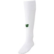 サッカーストッキング JASF7388 WDG ホワイト/ダークグリーン XLサイズ(27-29cm) [サッカー ソックス メンズ]