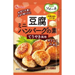 ソイーネ 豆腐ミニハンバーグの素 てりやき風味 21.5g [スパイス]