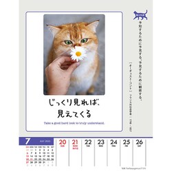ヨドバシ.com - CL-384 [2025年カレンダー 人生はニャンとかなる