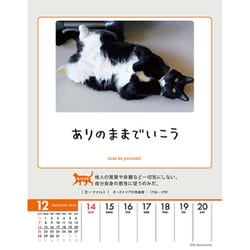 【新品】名前はまだない。 猫 2025 卓上カレンダー直筆サイン入チェキ 新品】名前はまだない。 猫 2025 卓上カレンダー直筆サイン入