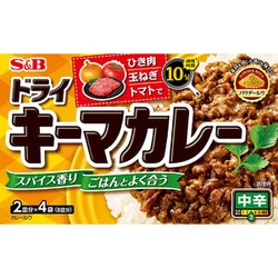 ドライキーマカレー 中辛 100g [カレー]