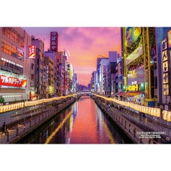 300-407 シリーズ・日本の都市51 大阪府大阪市「道頓堀夜景」 [ジグソーパズル 300ピース]