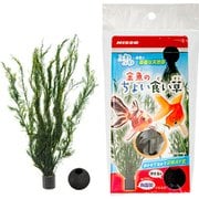 NAP-631 [金魚のちょい食い草 1個]