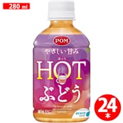 HOTぶどう 280ml×24本