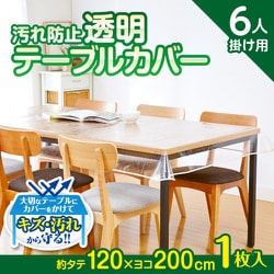 汚れ防止透明テーブルカバー 120×200cm 1008583