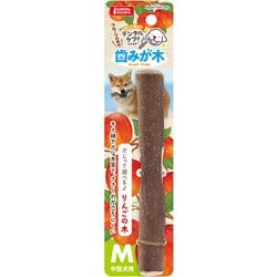 DA-364 [歯みが木りんごの木 M 1本]