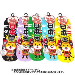 UO9918 [お土産ソックス かぶと柴犬 23～26cm 1足]